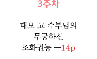 3                        14p