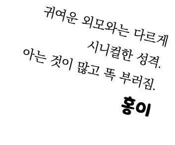 귀여운 외모와는 다르게 시니컬한 성격. 아는 것이 많고 똑 부러짐.     홍이 