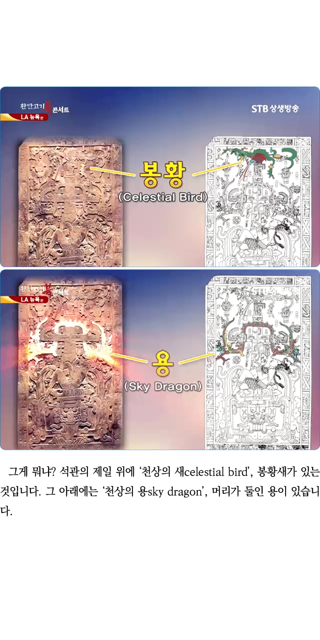                           celestial bird ,                            sky dragon ,                 