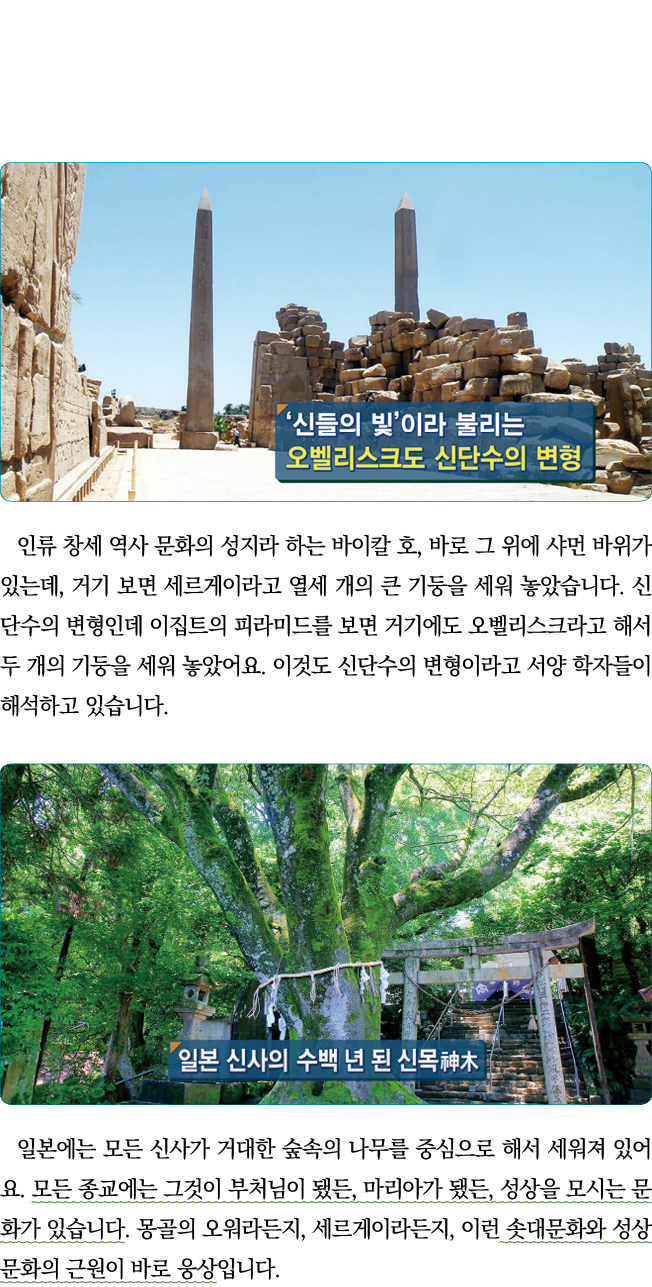                            ,                   ,                                                                        