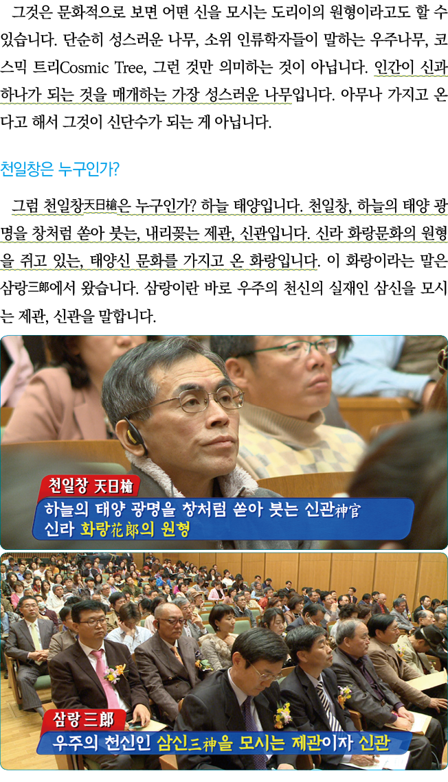                                                         ,                   ,       Cosmic Tree,                        