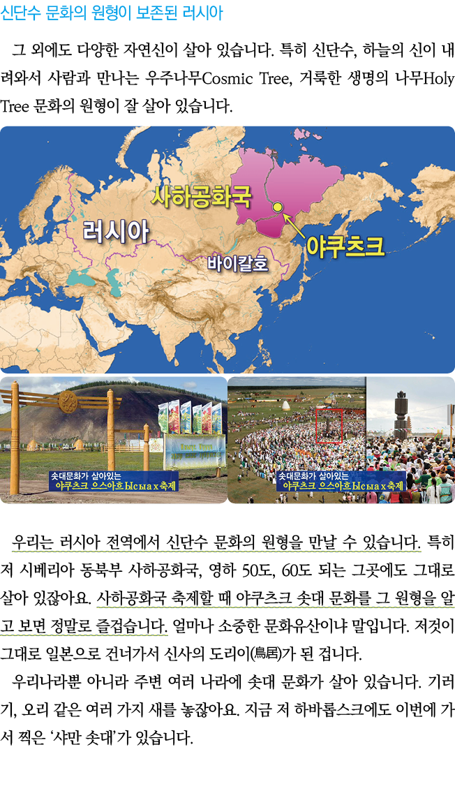                                                   ,                         Cosmic Tree,           Holy Tree            