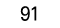 91