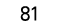 81
