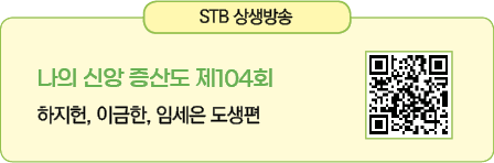 STB     ,           104     ,    ,        