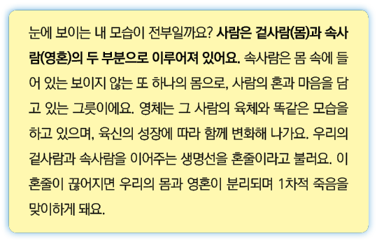                            ( )     (  )                                                   ,                             