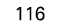 116