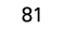 81
